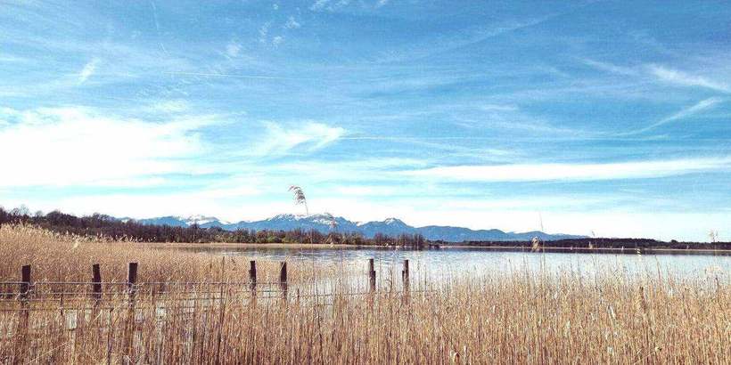 Schilf und See mit Bergblick